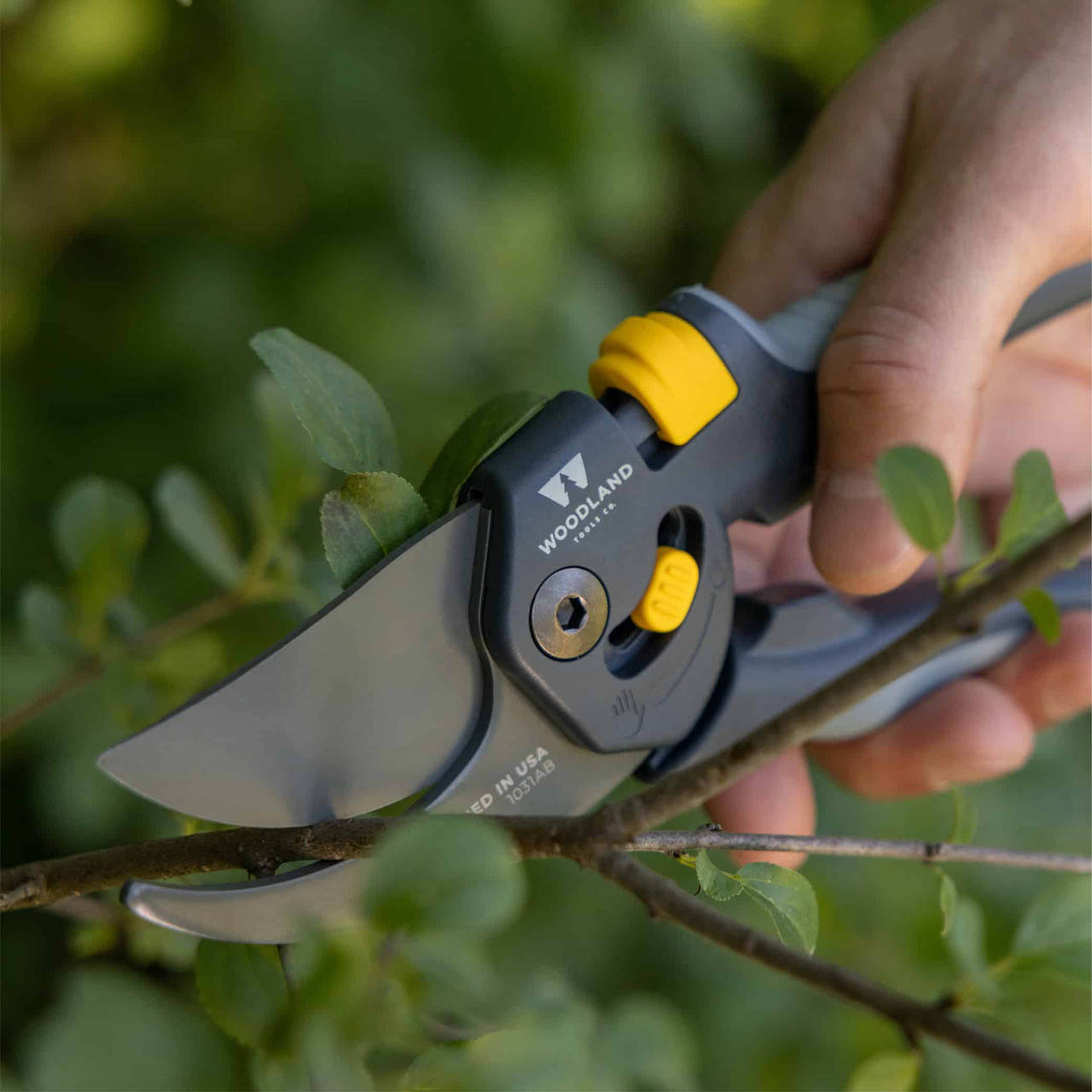 Heavy Duty Bypass Pruner | Woodland Tools Co.