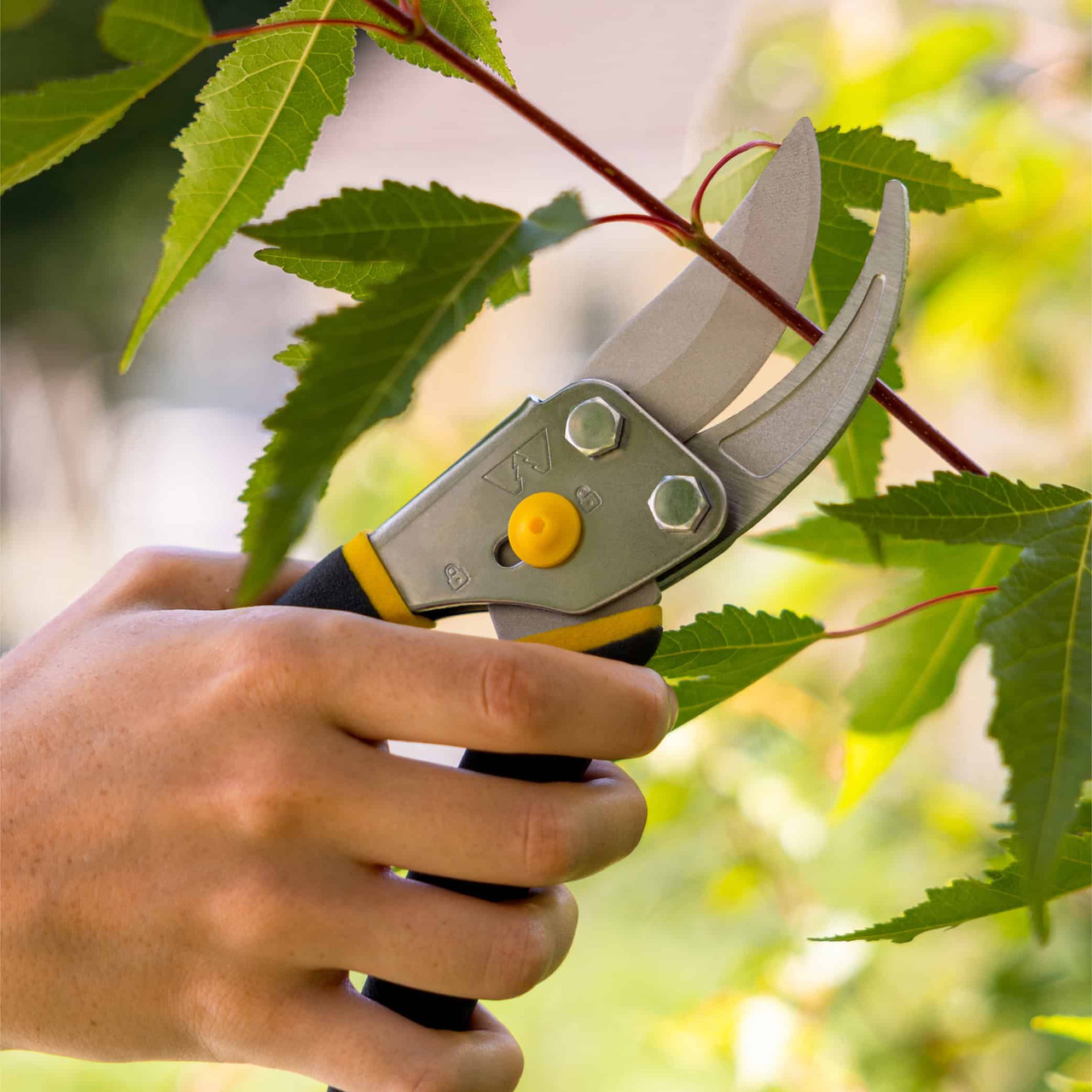 Regular Duty Bypass Pruner | Woodland Tools Co.