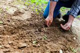 What Zone Am I In? USDA Hardiness Zones