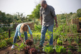 Sustainable Gardening for an Eco-Friendly Plot