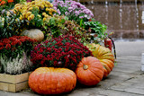 September Garden Survival Guide