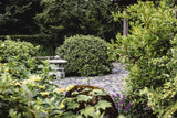 The Art of Timing: When is the Best Time to Trim Your Bushes?