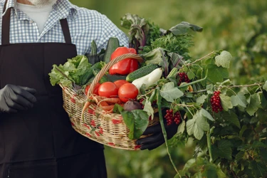 The August Garden Checklist: 12 Late Summer Jobs That Set Up a Better Fall
