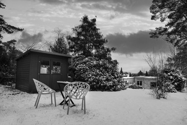 Winter Pruning: Setting the Stage for Spring Growth