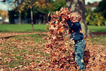 Fall Cleanup: Preparing Your Garden for Winter