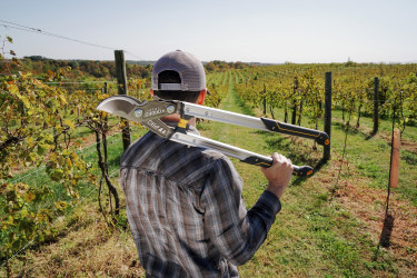 Bob Vila Tool of the Year: Pro Series Lopper