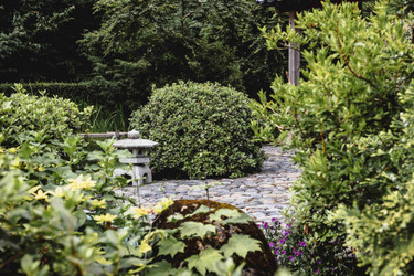 The Best Time to Trim Your Bushes: A Timing Guide