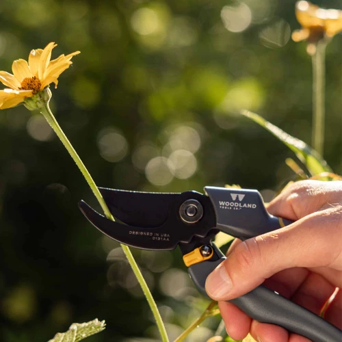 A hand deadheading a yellow flower with the Compact Duralight Pruner