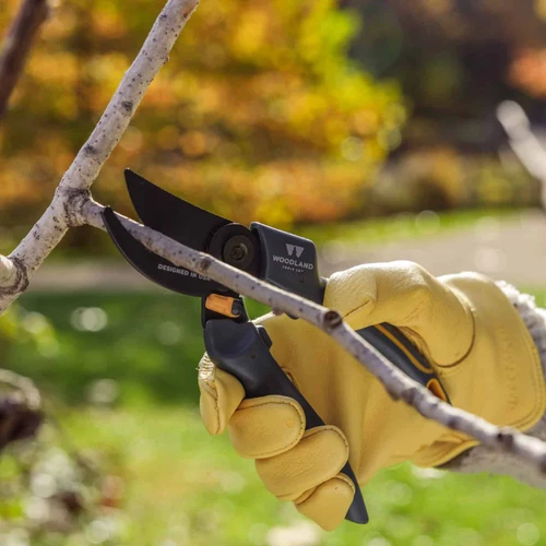 A gloved hand cutting a pale branch with the Compact Duralight Pruner