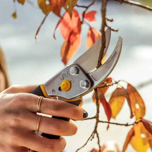 A hand pruning a woody stem with the Regular Duty Bypass Pruner, autumn leaves behind
