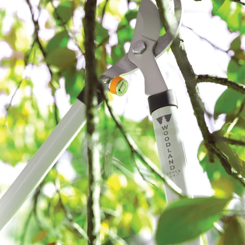 The Regular Duty Lopper cutting a branch in a leafy tree