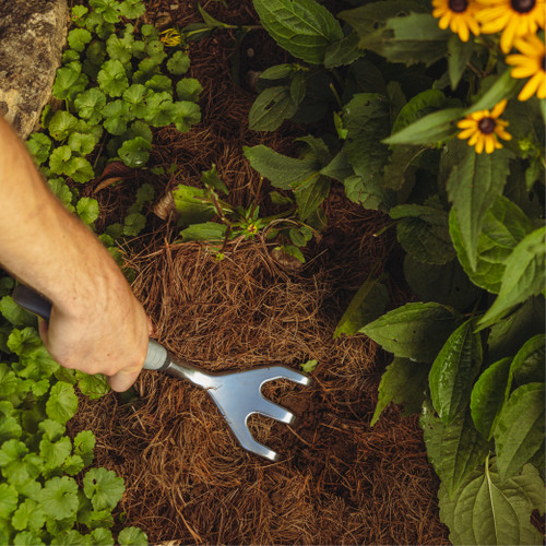 A hand raking pine straw mulch in a flower bed with the Heavy Duty Cultivator