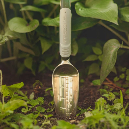 The Heavy Duty Transplanter standing upright in soil in front of hostas, depth markings visible