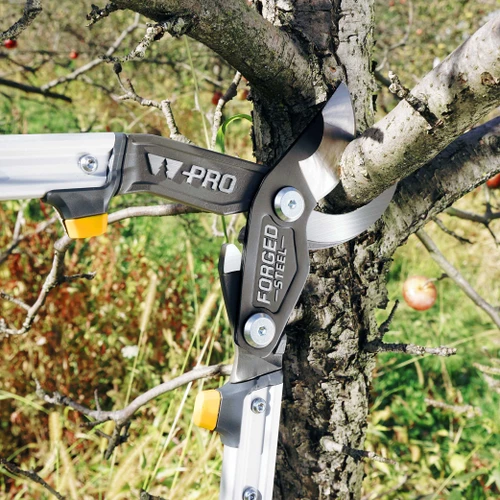 The Pro Series Forged Lopper cutting a branch on an apple tree