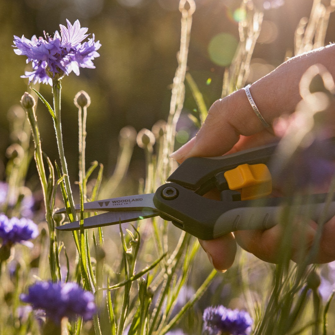 Pruning Shears: The Go-To Garden Tool