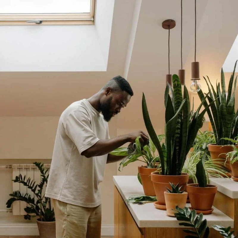 indoor gardening