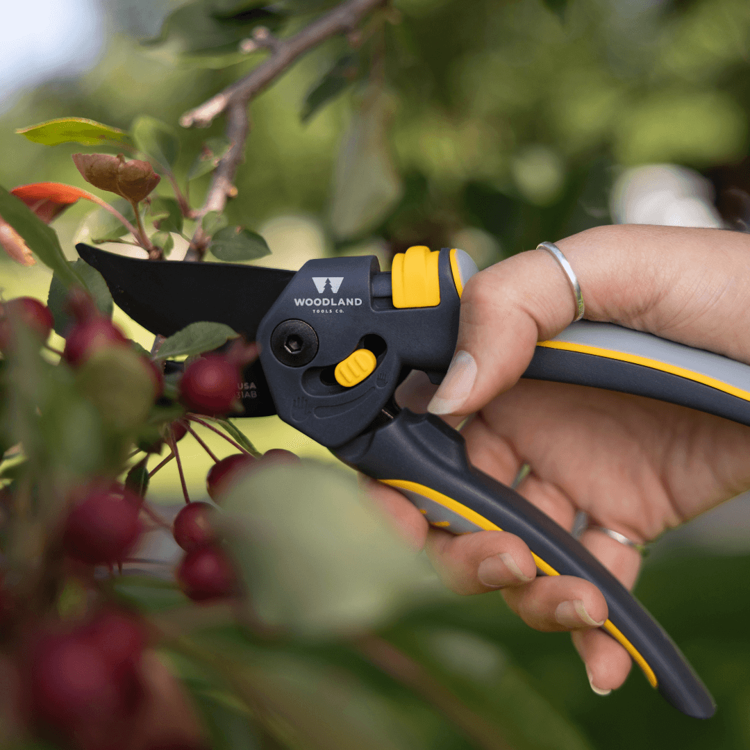 Garden Pruning Shears 8'' Professional Hand Clippers Trimmers Heavy Duty  Bypass