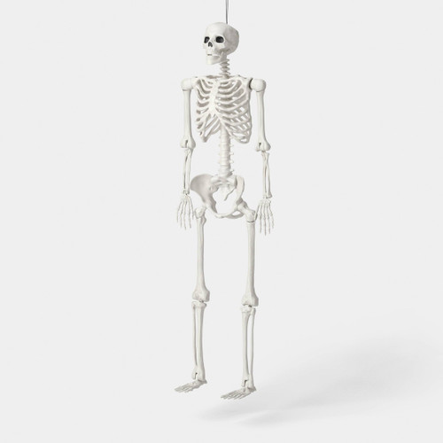60" Light and Sound Poseable Lifesize Skeleton, Off-White