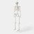 60" Light and Sound Poseable Lifesize Skeleton, Off-White
