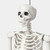60" Light and Sound Poseable Lifesize Skeleton, Off-White