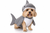 Royal Animals Shark Dog Costume