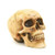 Grinning Highly Realistic Replica Human Skull Statue