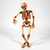 Professional-Grade Poseable Skeleton v3