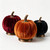 Studio Pumpkin Velvet Set v3