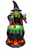 Animated Witch Cauldron — Elite Edition