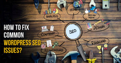 How to Fix Common WordPress SEO Issues?