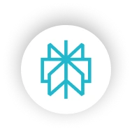 Perplexity AI
