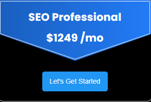 SEO Professional