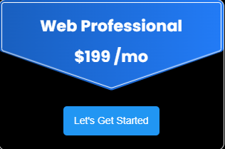 Web Professional