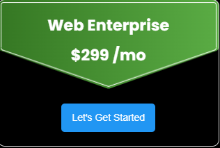 Web Enterprise