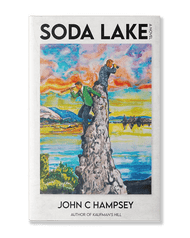 The Soda Lake Book Tour is Here!