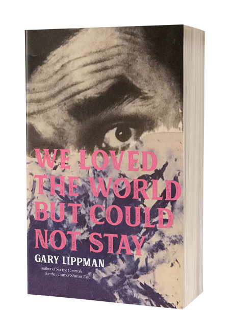We Loved the World But Could Not Stay by Gary Lippman