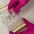 Using PCRSEAL-TOOL to cap 8-strip tubes on 96-well PCR plate with gloved hand