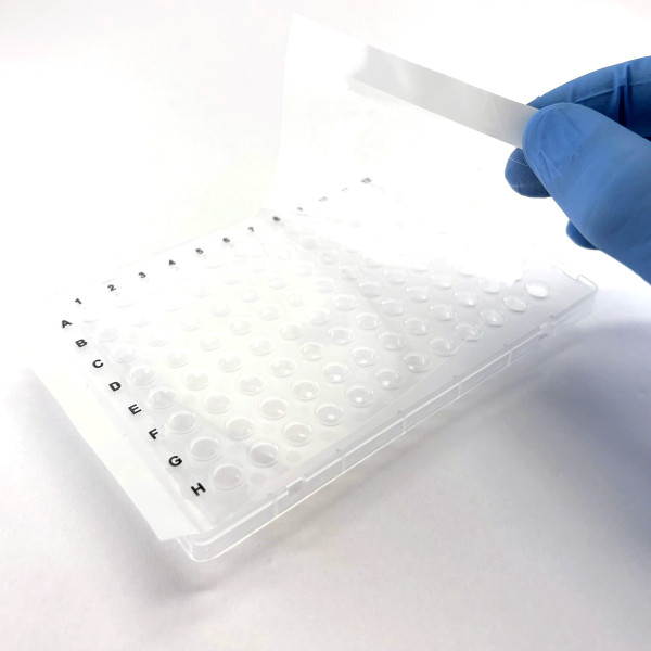 Peeling PCRSEAL-OA optically clear adhesive film from 96-well PCR plate with gloved hand