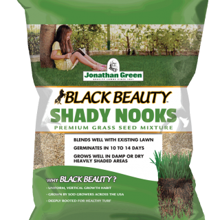 Black Beauty® Shady Nooks Grass Seed
