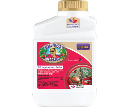 Captain Jack's® Deadbug Brew | 16oz Concentrate