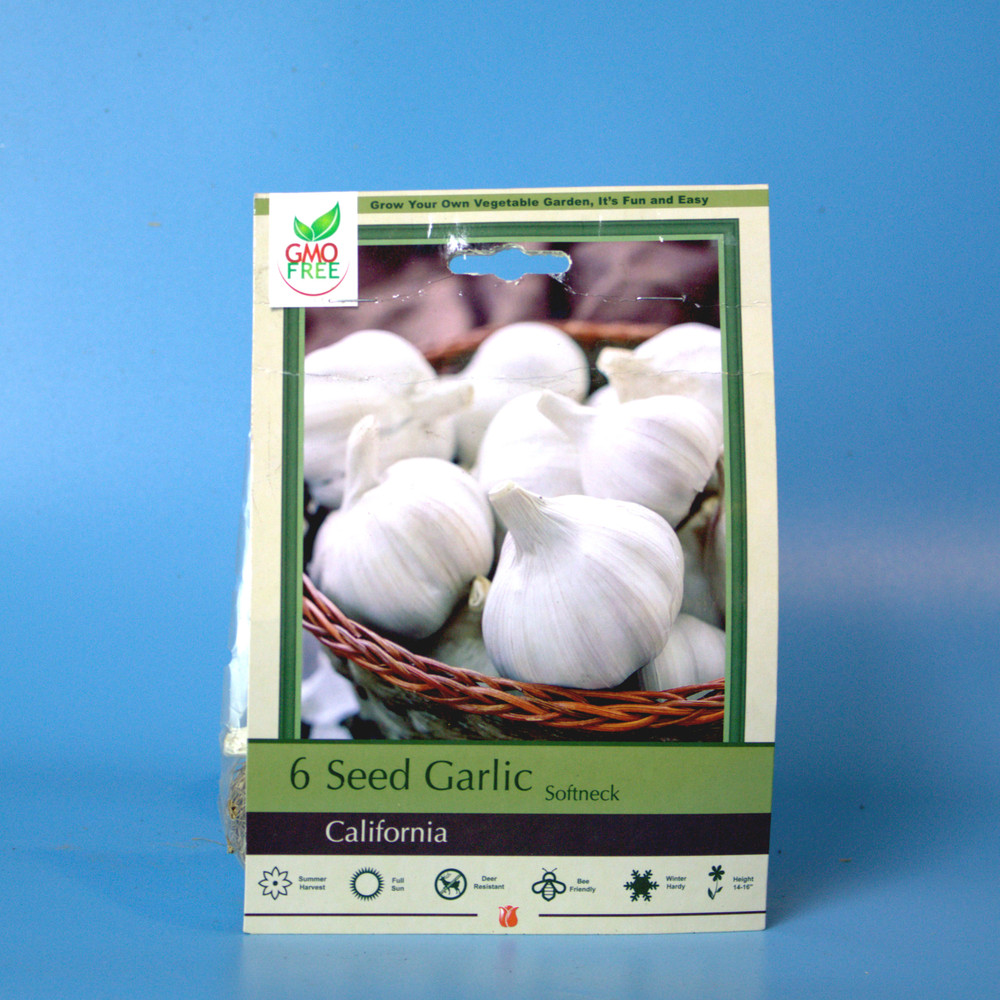 Garlic Bulbs 6pk | California Softneck