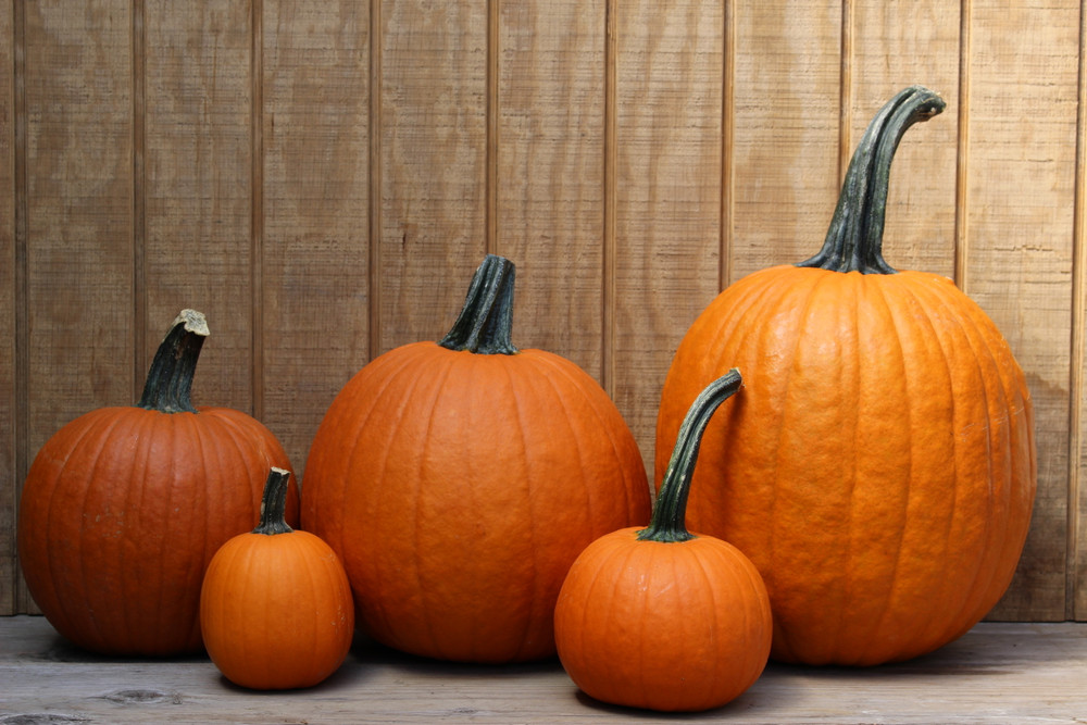 Pumpkin Package