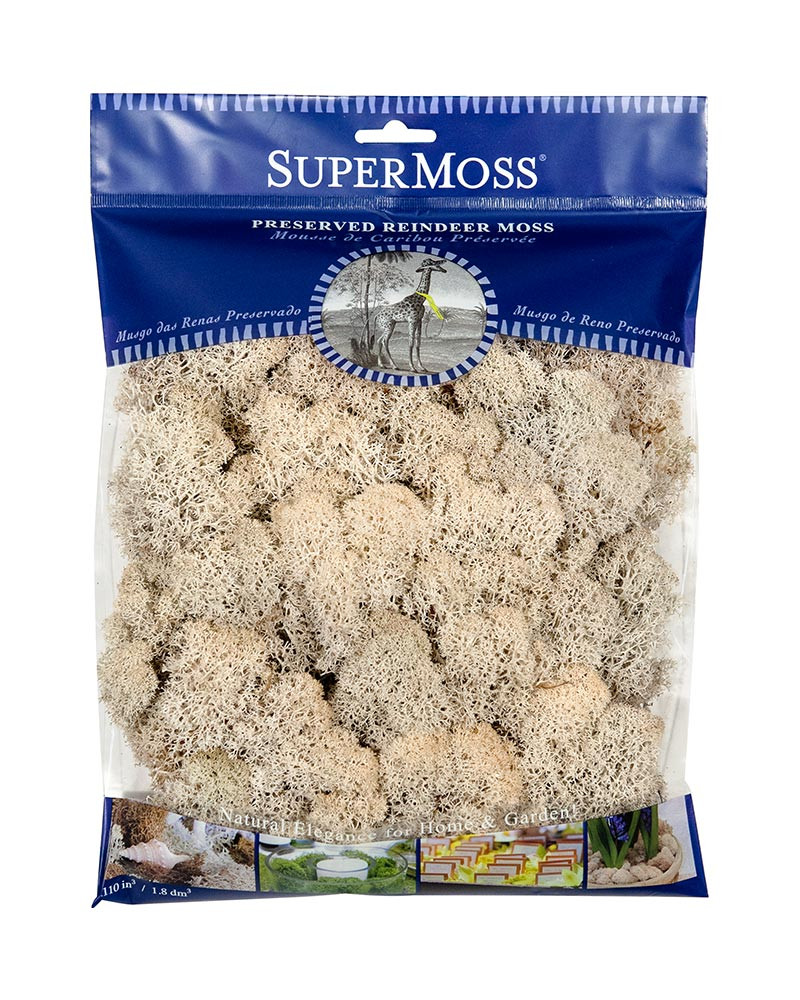 image courtesy of Super Moss