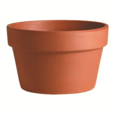 Azalea Pot