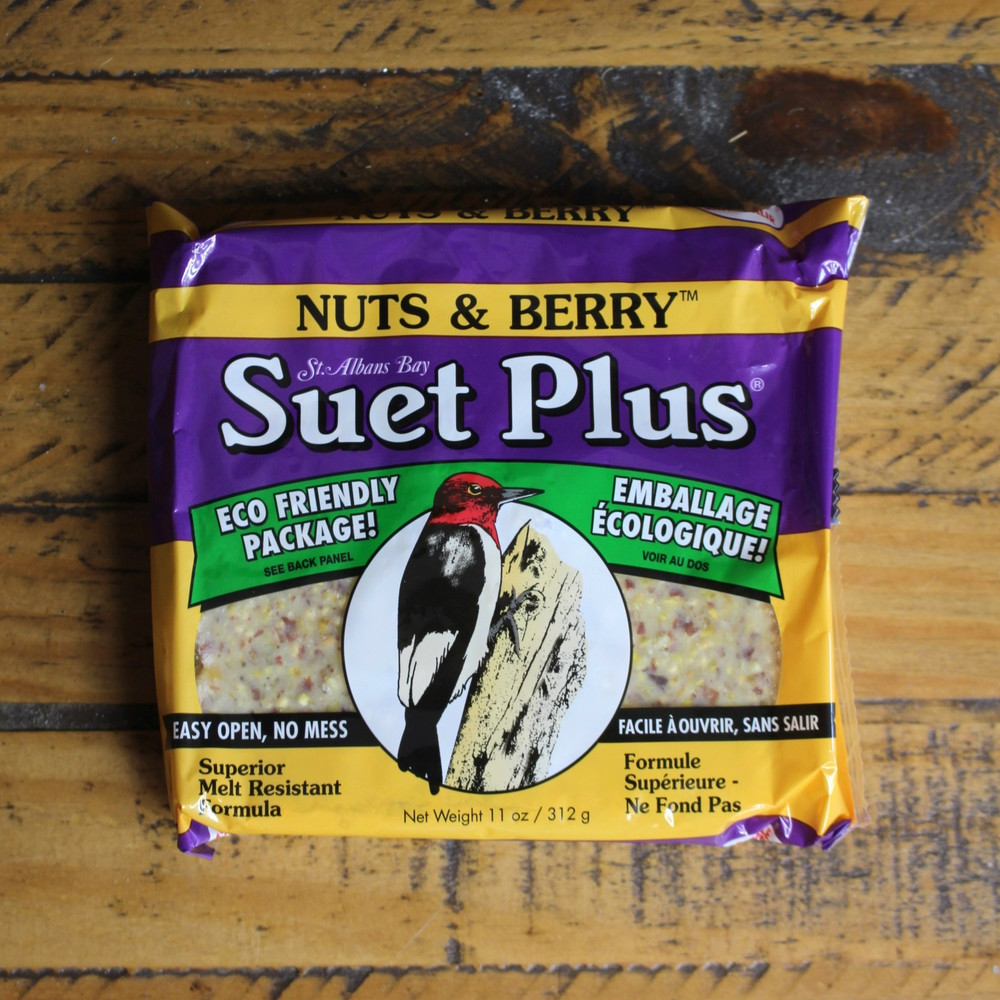 Suet Plus 11oz | Nut & Berries Blend