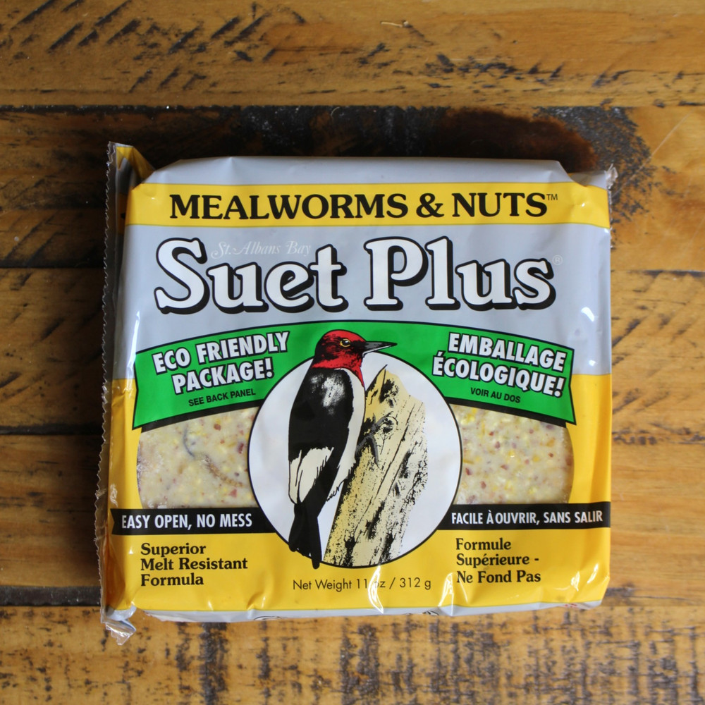 Suet Plus 11oz | Mealworm Blend
