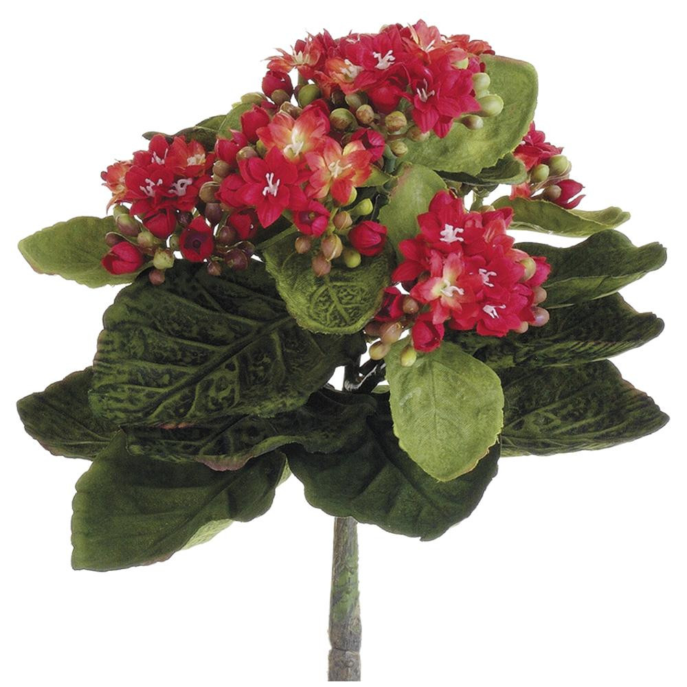 image courtesy of Allstate Floral & Craft
