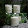 Roland Pine Votive Candle Gift Set