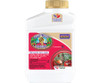 Captain Jack's® Deadbug Brew | 16oz Concentrate