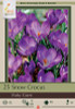 Crocus Bulb 25pk | Ruby Giant